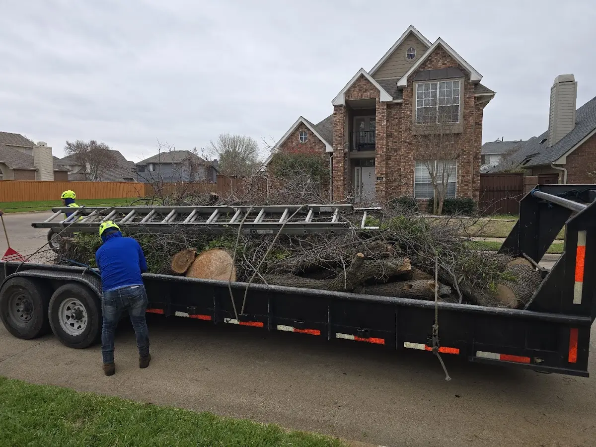 Expert Tree Fertilization with proper safety equipment in Yellville